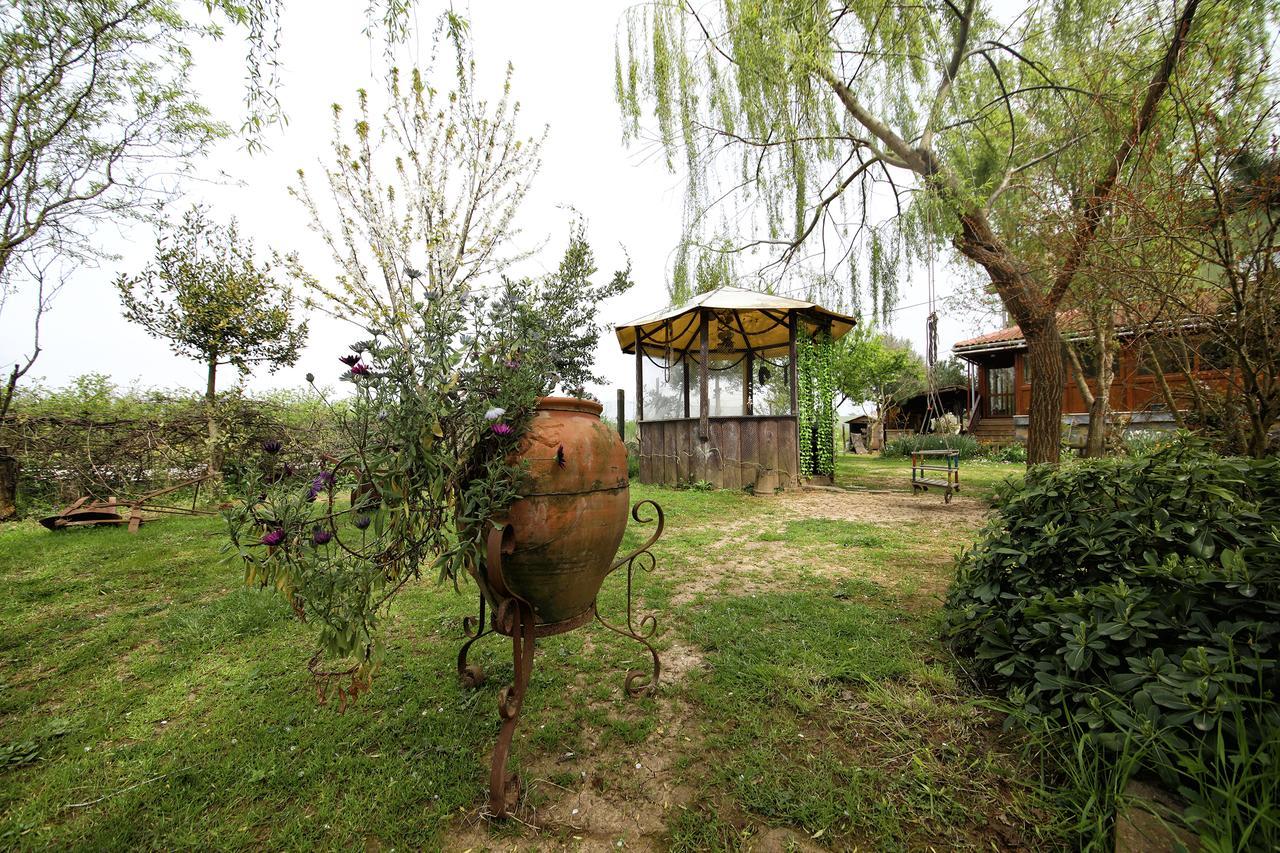 Tartaruga Motel Goce 외부 사진